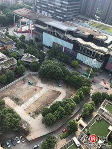 武汉潘大观最新爆料,揭秘武汉重大事件背后真相